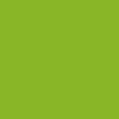 farbflache-gruen